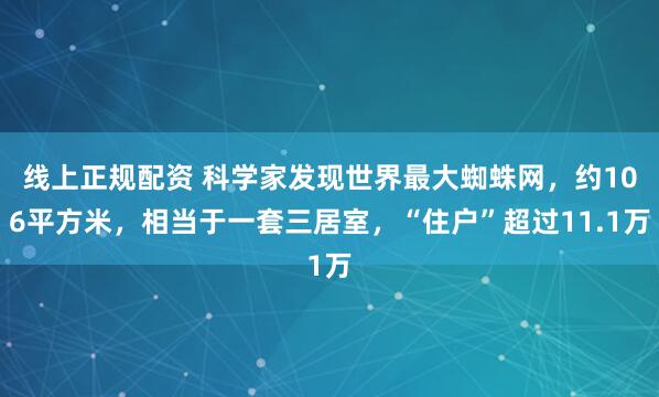 线上正规配资 科学家发现世界最大蜘蛛网，约106平方米，相当于一套三居室，“住户”超过11.1万