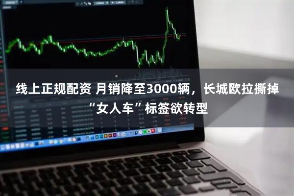线上正规配资 月销降至3000辆，长城欧拉撕掉“女人车”标签欲转型