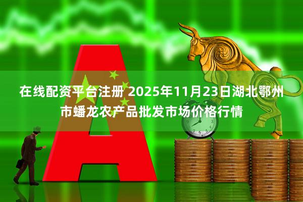 在线配资平台注册 2025年11月23日湖北鄂州市蟠龙农产品批发市场价格行情